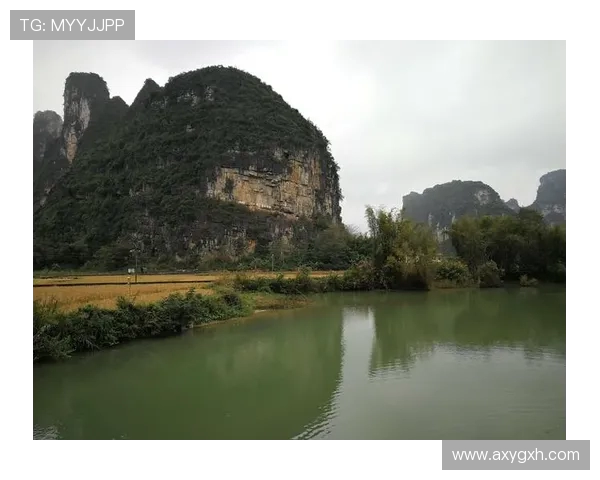 《从草根到顶尖赛场足球的演变与全球化影响》 《从草根到顶尖赛场足球的演变与全球化影响》
