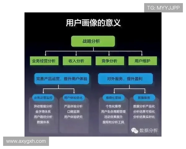跳水运动的魅力与挑战：从技巧到心理的全面解析与发展趋势探讨