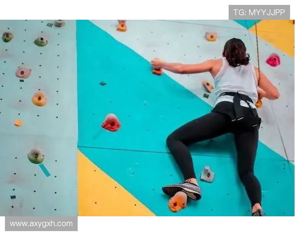 上海攀岩队在全国团队协作排行榜中荣获第八名的佳绩引发关注 上海攀岩队在全国团队协作排行榜中荣获第八名的佳绩引发关注