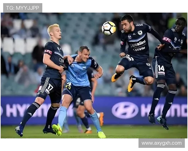 北京北控迎战惠灵顿凤凰力争主场胜利展现球队实力与风采 北京北控迎战惠灵顿凤凰力争主场胜利展现球队实力与风采